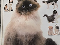 Lot 127 - katten boeken 4 stuks - afbeelding 4 van  4