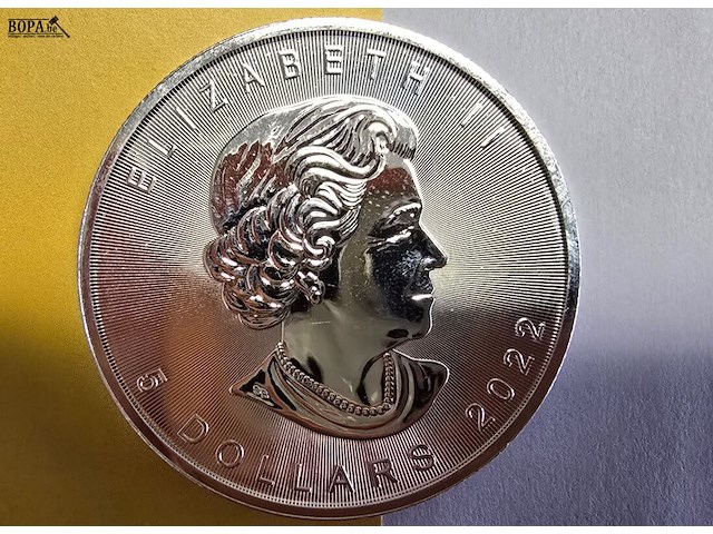 Lot 13 - canada maple zilveren munten (2022) (2 stuks) - afbeelding 2 van  4