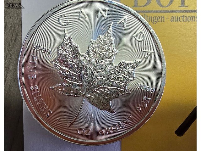 Lot 13 - canada maple zilveren munten (2022) (2 stuks) - afbeelding 3 van  4