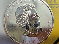 Lot 13 - canada maple zilveren munten (2022) (2 stuks) - afbeelding 4 van  4