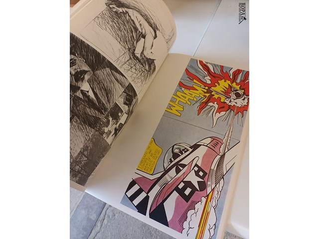 Lot 13 - kunst boek - afbeelding 5 van  6