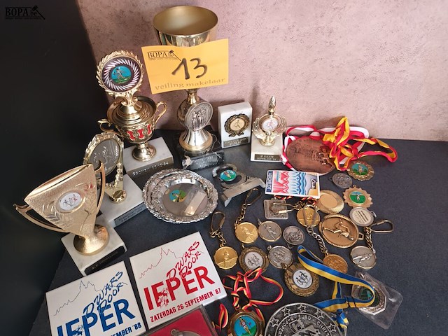 Lot 13 - sport medailles en bekers. 30 stuks - afbeelding 1 van  5