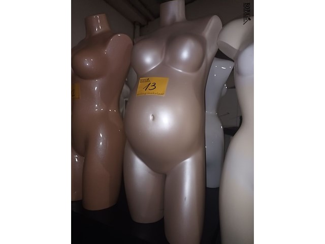 Lot 13 - torso zwangere vrouw - afbeelding 1 van  3