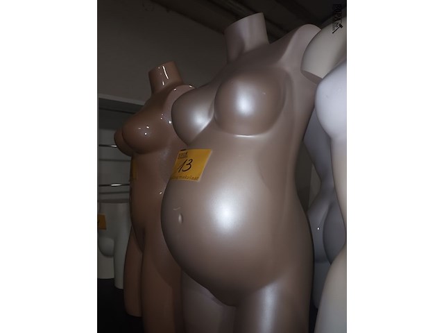 Lot 13 - torso zwangere vrouw - afbeelding 2 van  3