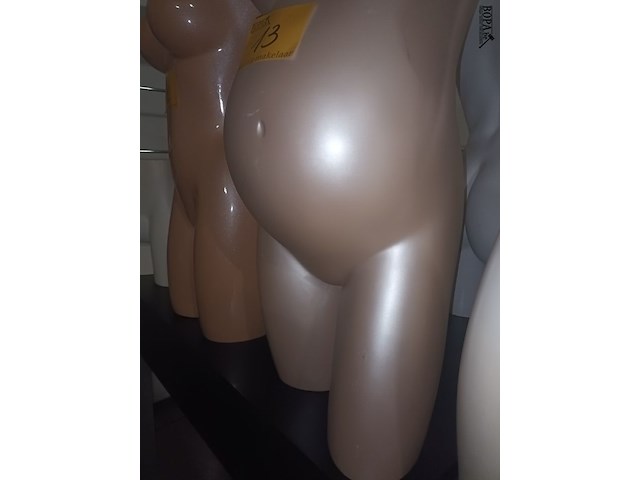 Lot 13 - torso zwangere vrouw - afbeelding 3 van  3