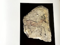 Lot 131 - de kunstenaars van de farao's - afbeelding 5 van  8