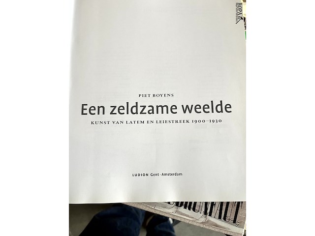 Lot 133 - een zeldzame weelde piet boyens - afbeelding 2 van  6