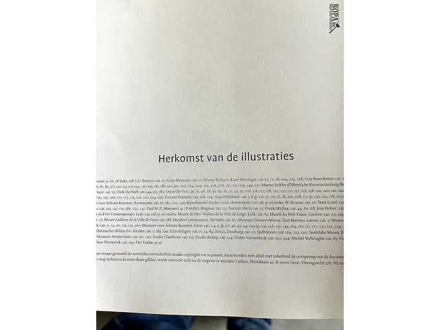 Lot 133 - een zeldzame weelde piet boyens - afbeelding 6 van  6
