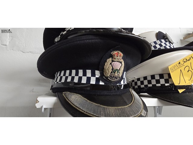 Lot 134 - schotland 3 kepies + 1 vrouwelijke - afbeelding 2 van  6