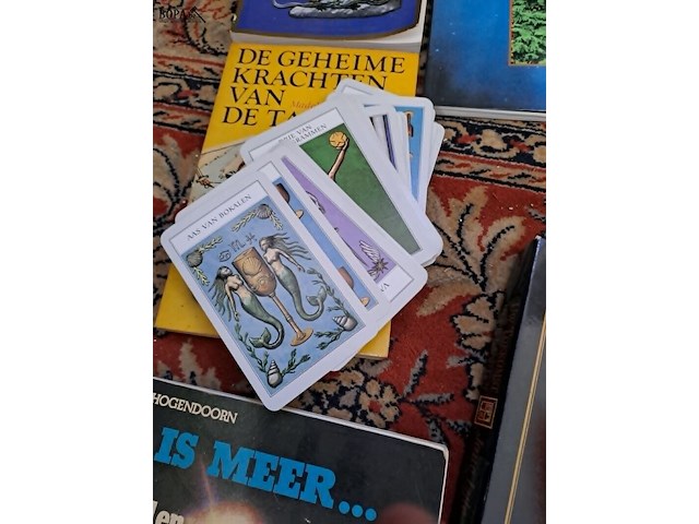 Lot 138 - lot spiritualiteit: boeken rond kaartleggen, geesten, tarot - afbeelding 2 van  4