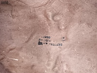 Lot 14 - afrikaanse kunst masker - afbeelding 6 van  8