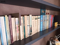 Lot 14 - boeken. 37 stuks - afbeelding 2 van  7