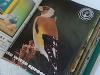 Lot 14 - boekjes de witte spreeuwen - afbeelding 2 van  4
