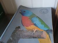 Lot 14 - boekjes de witte spreeuwen - afbeelding 4 van  4