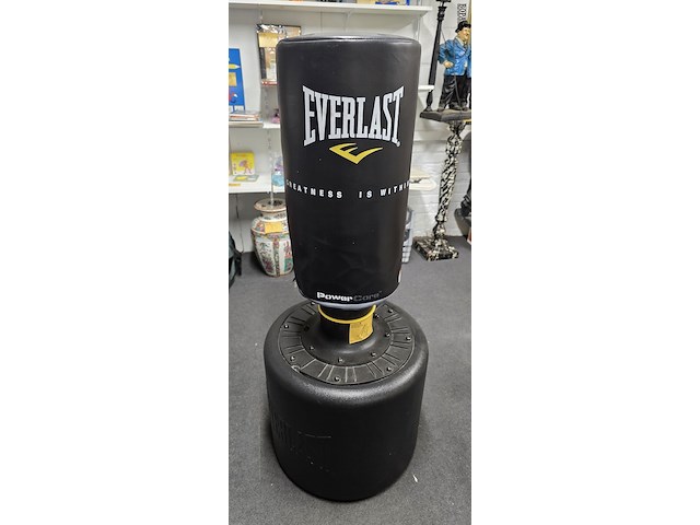 Lot 14 - boksbal everlast - afbeelding 1 van  2
