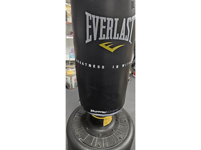 Lot 14 - boksbal everlast - afbeelding 2 van  2