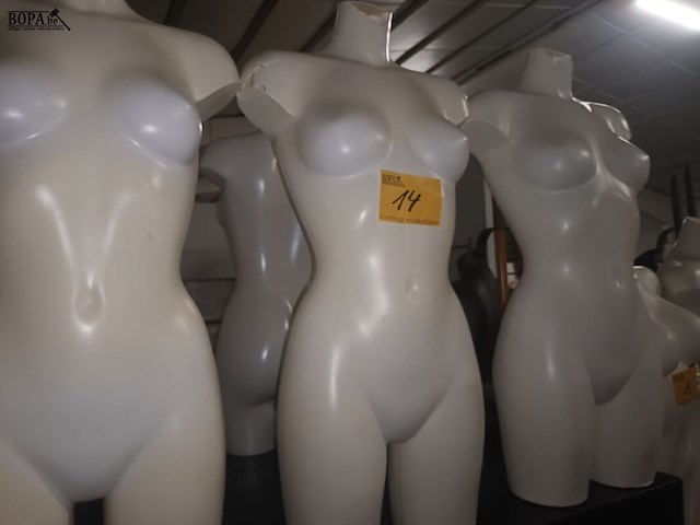Lot 14 - witte torso vrouw. 3 stuks - afbeelding 1 van  4