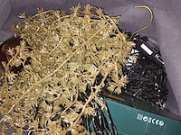 Lot 140 - seizoensdecoratie - afbeelding 5 van  7