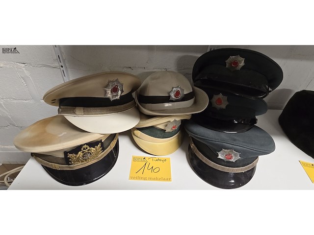 Lot 140 - turkije 6 kepies + 1 vrouwelijke - afbeelding 1 van  5