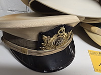 Lot 140 - turkije 6 kepies + 1 vrouwelijke - afbeelding 2 van  5