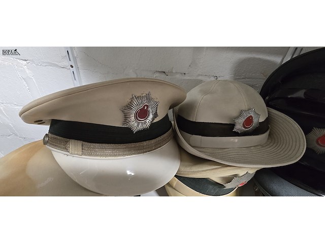 Lot 140 - turkije 6 kepies + 1 vrouwelijke - afbeelding 3 van  5