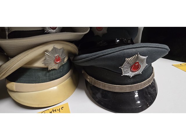 Lot 140 - turkije 6 kepies + 1 vrouwelijke - afbeelding 4 van  5