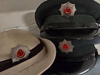 Lot 140 - turkije 6 kepies + 1 vrouwelijke - afbeelding 5 van  5