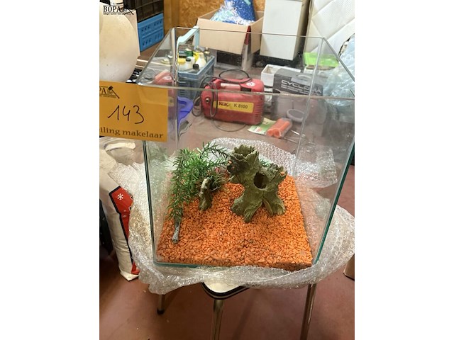 Lot 143 - glazen aquarium/terrarium 29*29*35 - afbeelding 1 van  2