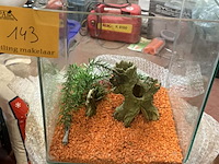 Lot 143 - glazen aquarium/terrarium 29*29*35 - afbeelding 1 van  2