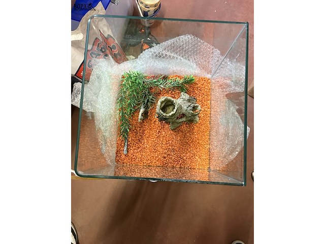 Lot 143 - glazen aquarium/terrarium 29*29*35 - afbeelding 2 van  2