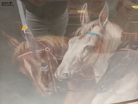 Lot 143 - kader 3 paarden - afbeelding 2 van  3