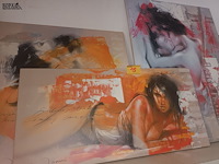 Lot 15 - canvas met erotische afbeeldingen. 3 stuks