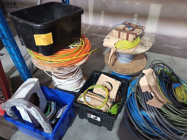 Lot 15 - lot diverse elektriciteitskabels - afbeelding 1 van  4