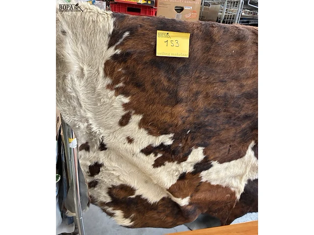 Lot 153 - driekleurige koeienhuid vloerkleed - afbeelding 4 van  4