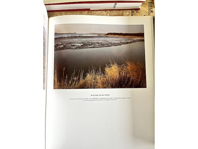 Lot 153 - het zwin leven tussen land en zee - afbeelding 3 van  6