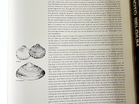 Lot 153 - het zwin leven tussen land en zee - afbeelding 4 van  6