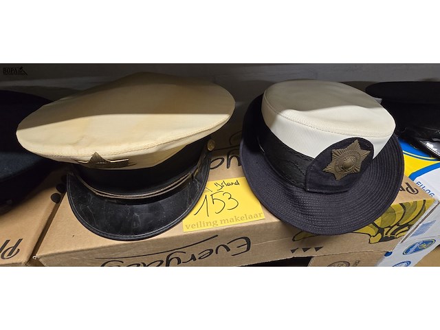 Lot 153 - ijsland 1 kepie + 1 vrouwelijke - afbeelding 1 van  3