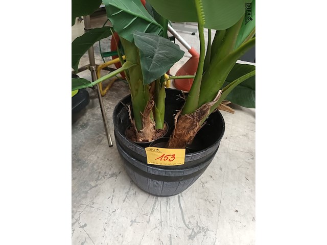 Lot 153 - kunstplanten - 3 stuks met pot - afbeelding 3 van  5