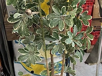 Lot 154 - kunstplant in beige pot