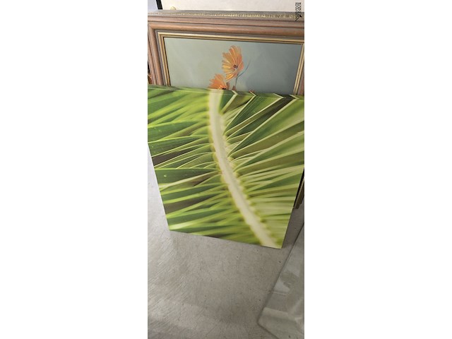 Lot 154 - lot diverse kaders 8 stuks - afbeelding 5 van  10