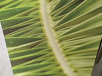 Lot 154 - lot diverse kaders 8 stuks - afbeelding 5 van  10