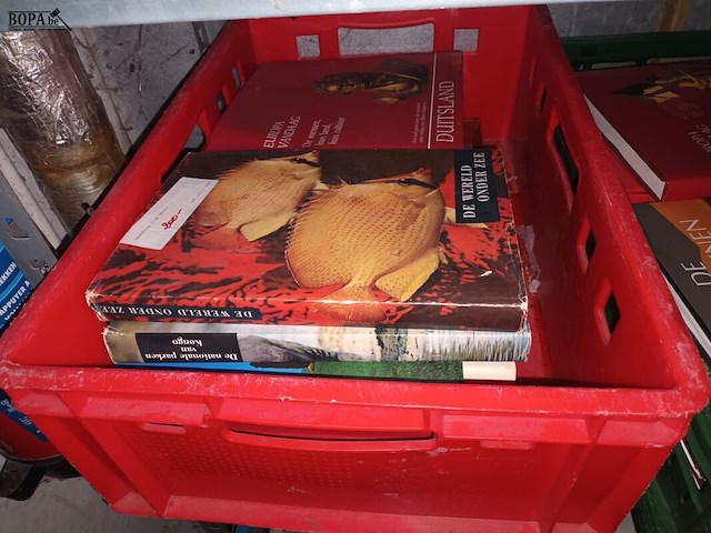 Lot 155 - boeken artis historia - afbeelding 2 van  4