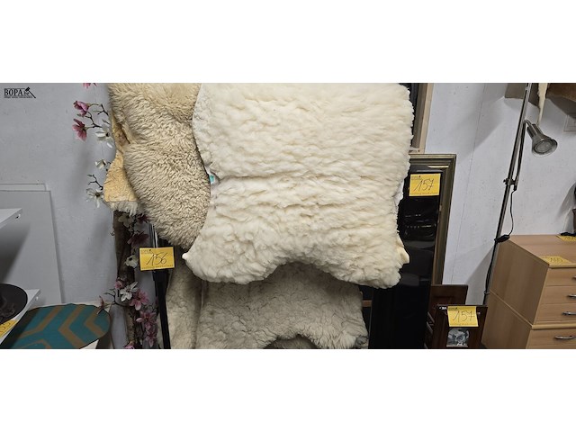 Lot 156 - dikke schapenvellen 5 stuks - afbeelding 1 van  7