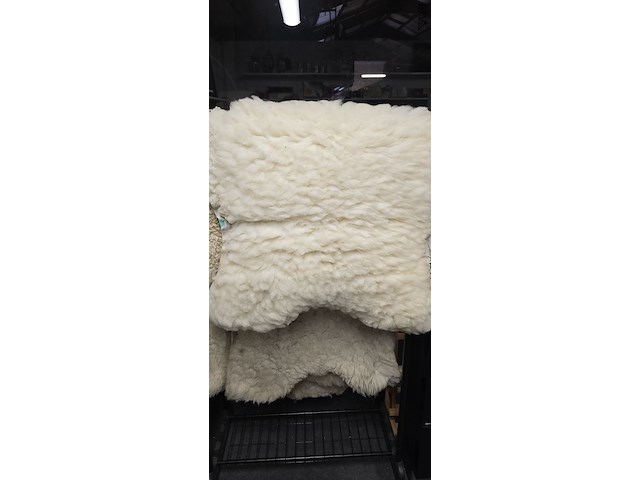 Lot 156 - dikke schapenvellen 5 stuks - afbeelding 2 van  7