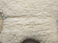 Lot 156 - dikke schapenvellen 5 stuks - afbeelding 2 van  7