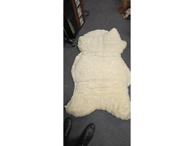 Lot 156 - dikke schapenvellen 5 stuks - afbeelding 3 van  7