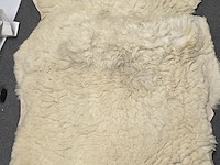 Lot 156 - dikke schapenvellen 5 stuks - afbeelding 6 van  7