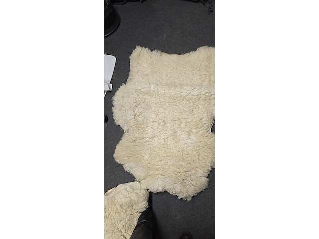 Lot 156 - dikke schapenvellen 5 stuks - afbeelding 7 van  7