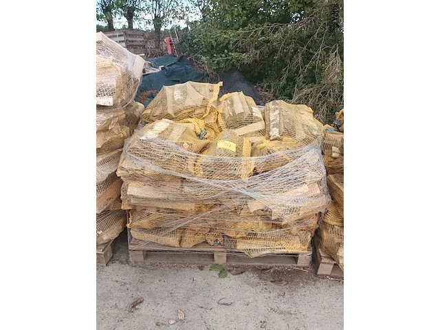 Lot 157 - brandhout berk. 1 pallet - afbeelding 2 van  3