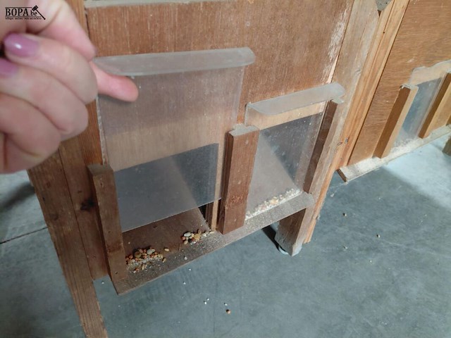 Lot 158 - bewaarbakken voor granen - 2 stuks - afbeelding 4 van  4